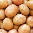Картофель семенной Жуковский ранний