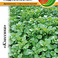 Салат Кресс водяной Подмосковный